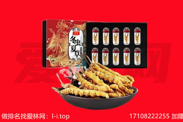 吕梁市方山回收虫草.jpg
